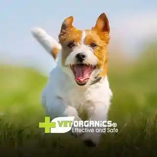 vet-organics.com